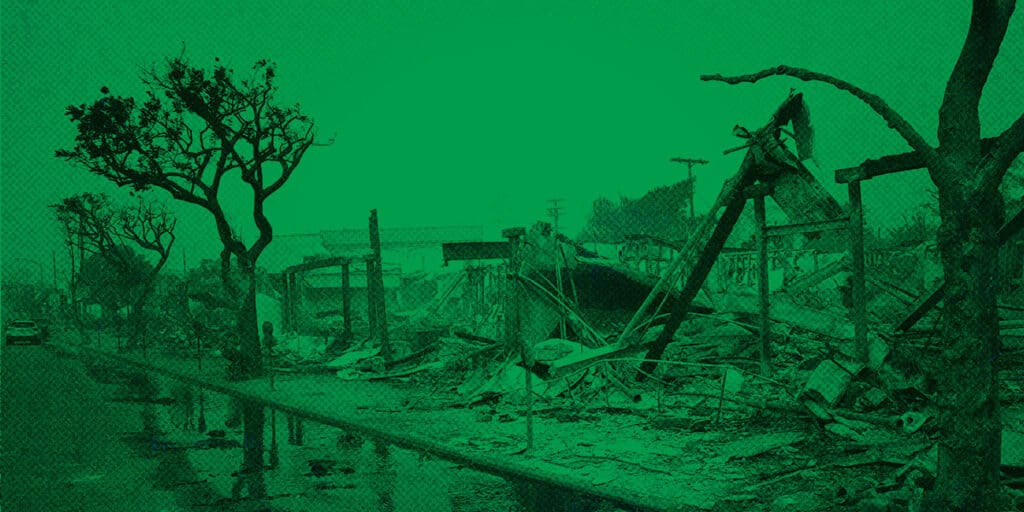 A street lined with trees and the remains of burned structures, with debris scattered and puddles on the road, depicting severe fire damage.